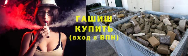 гашик Михайлов