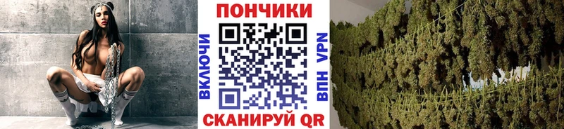 блэк спрут вход  Темников  Шишки марихуана THC 21% 